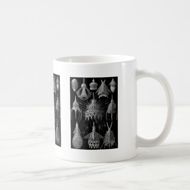 Cyrtoidea Kaffemugg (Höger)