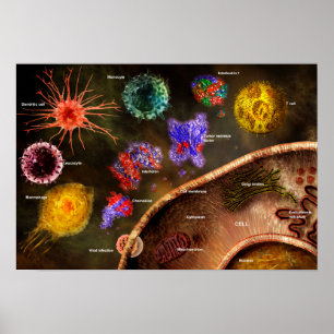 Cytokines affisch