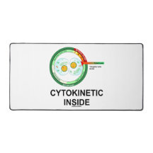 Cytokinetisk insida Cytoplasm Division Mitos