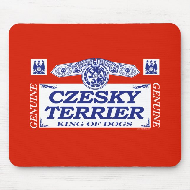 Czesky Terrier Musmatta (Framsidan)