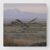 D10 Vitstjärtad Hjort Backe