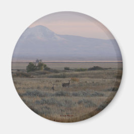 D10 Vitstjärtad hjort och Sweet Grass Hills Magnet