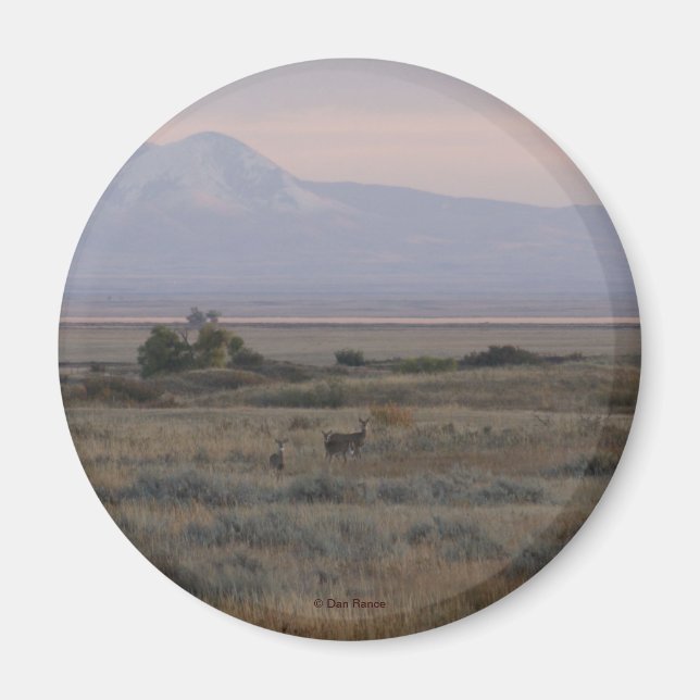 D10 Vitstjärtad hjort och Sweet Grass Hills Magnet (Framsidan)