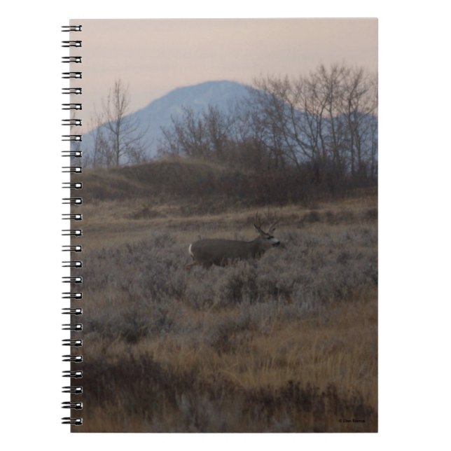 D12 Mula hjortbock och Sweet Grass Hills Anteckningsbok (Framsidan)