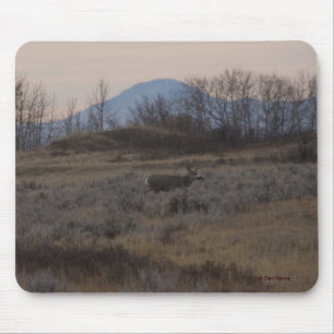 D12 Mula hjortbock och Sweet Grass Hills Musmatta