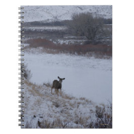 D16 Mule Hjort Doe i Valley Anteckningsbok