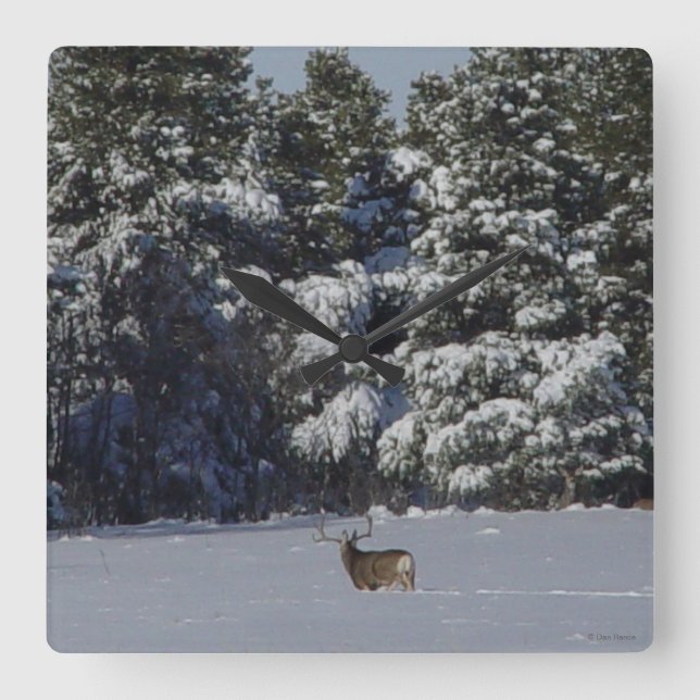 D17 Mula hjortbock i snöiga granar Fyrkantig Klocka (Framsida)