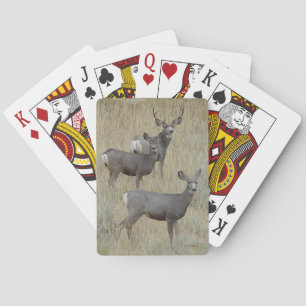 D18 Mula hjort Casinokort