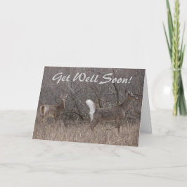 D1 Vit skräddarsydd Hjort Vår Bucks i Cottonwood Kort