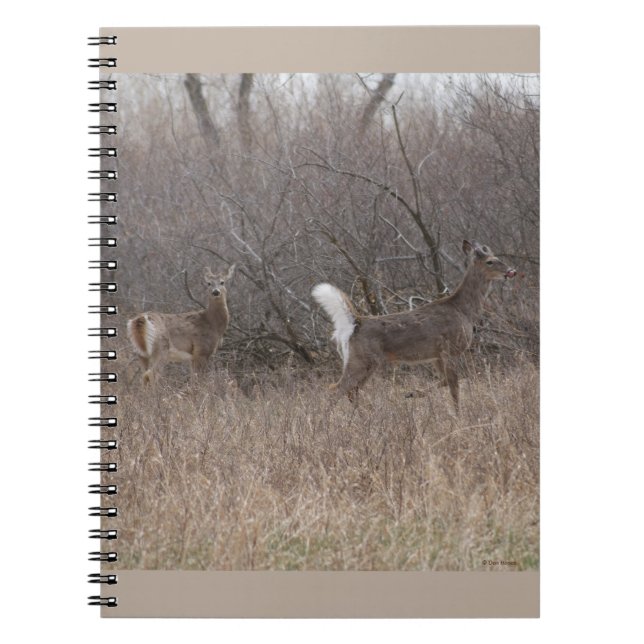 D1 Vitstjärt Hjort Bucks i Push Anteckningsbok (Framsidan)
