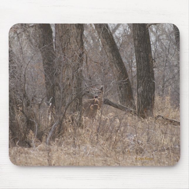 D1 Vitstjärtad hjort i bomullsträd Musmatta (Framsidan)