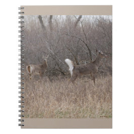 D1 Vitstjärtad hjort Vår bockar i buskar Anteckningsbok