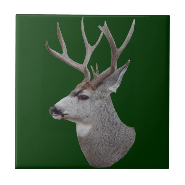 D27 Mule Hjort Buck Head Kakelplatta (Framsidan)