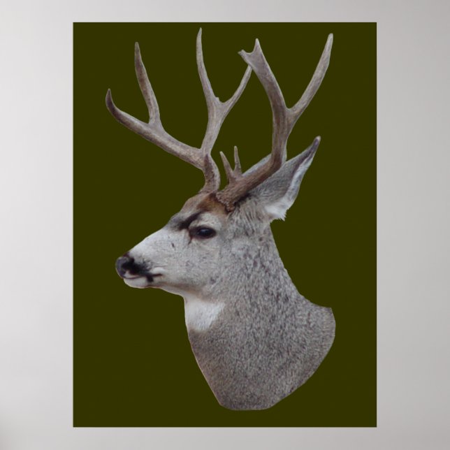 D27 Mule Hjort Buck Head Poster (Framsidan)
