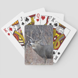 D29 Mula hjortbuck Casinokort