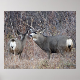 D29 Mula hjortbuck och dolda Poster