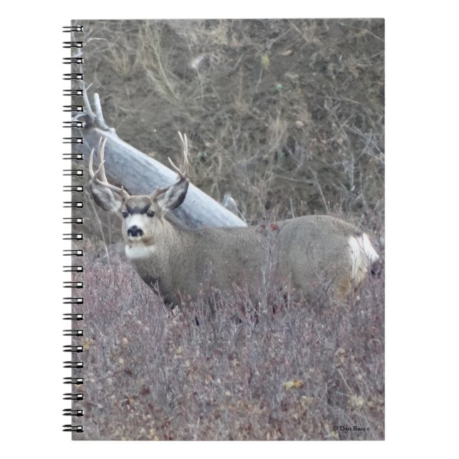 D32 Mula Hjort Hanne Anteckningsbok (Framsidan)