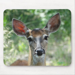 D33 Vitstjärtad hjort hona musmattor
