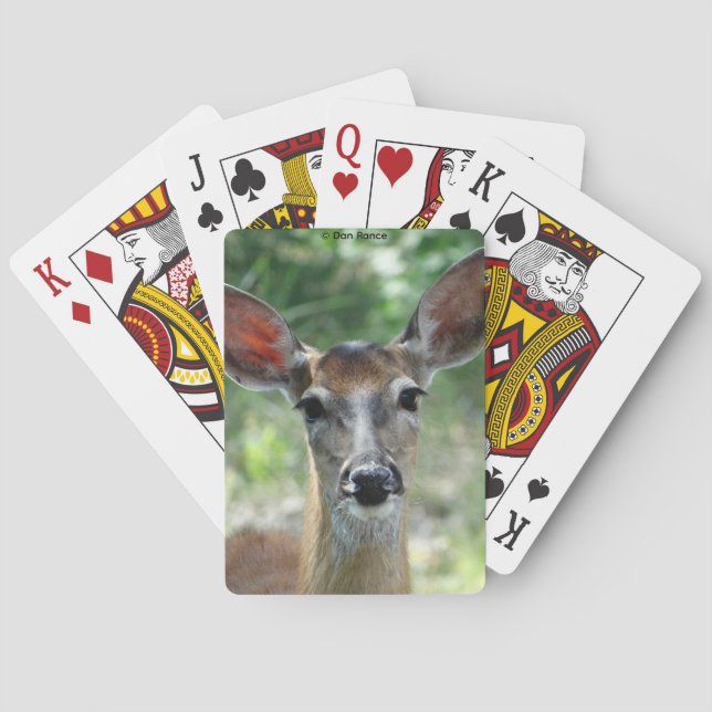 D33 White-tailed Deer Doe Casinokort (Baksidan)