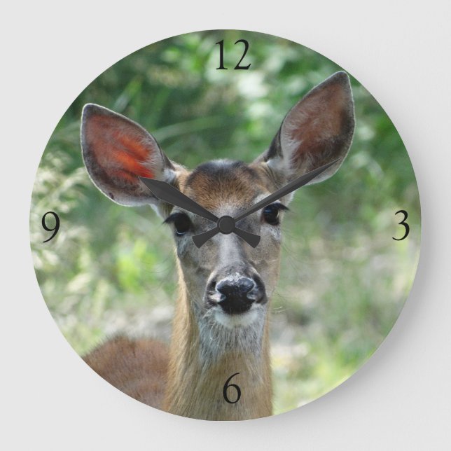 D33 White-tailed Deer Doe Stor Klocka (Framsida)