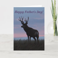D3 Mula hjort Buck Sunrise Buck