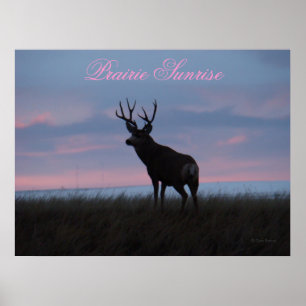 D3 Mula Hjort Soluppgång Buck Poster