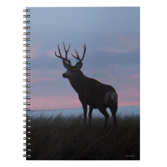 D3 Mule Hjort Buck Sunrise Buck Anteckningsbok (Framsidan)