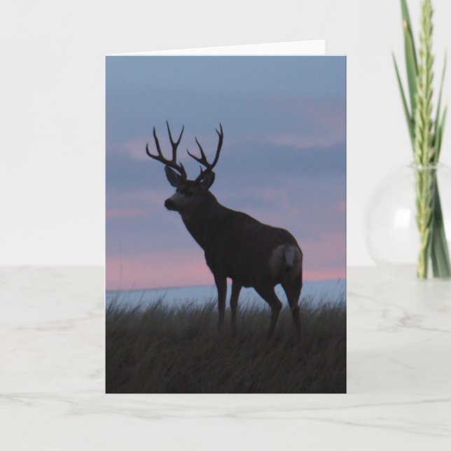 D3 Mule Hjort Buck Sunrise Buck Kort (Framsida)