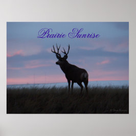 D3 Mule Hjort Sunrise Buck Poster
