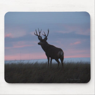 D3 Mulehjort Sunrise Buck Musmatta
