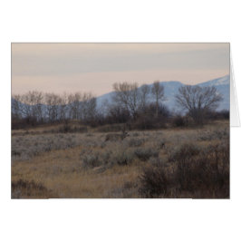 D4 Mula hjortbock och Sweet Grass Hills Hälsningskort