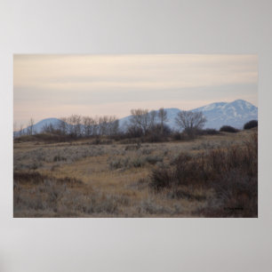 D4 Mullhjort Sweet Grass Hills Poster