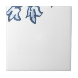 D6 - Den Delft basketväggmålningen belägger med Kakelplatta