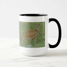 D6 Vitskalig Hjort Young Bucks