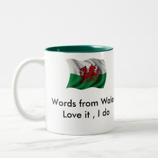 D6G-ord från den Wales muggen Två-Tonad Mugg