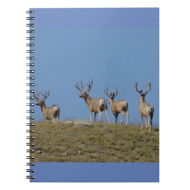 D9 Mule Hjort Bucks in Velvet Skyline Anteckningsbok (Framsidan)