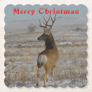 D 20 Mule Deer Buck in Snow Coaster Underlägg Papper