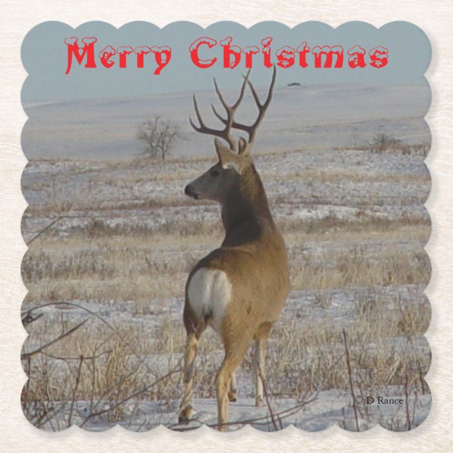 D 20 Mule Deer Buck in Snow Coaster Underlägg Papper (Framsida)