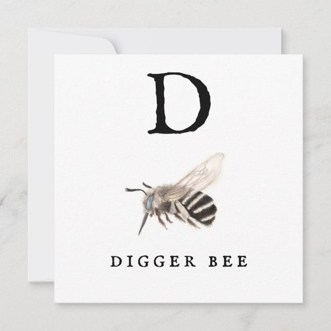 "D" Digger Bee (Framsida)