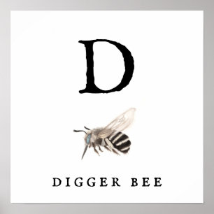 "D" Digger Bee-värdet Poster Pappert (projektionsy