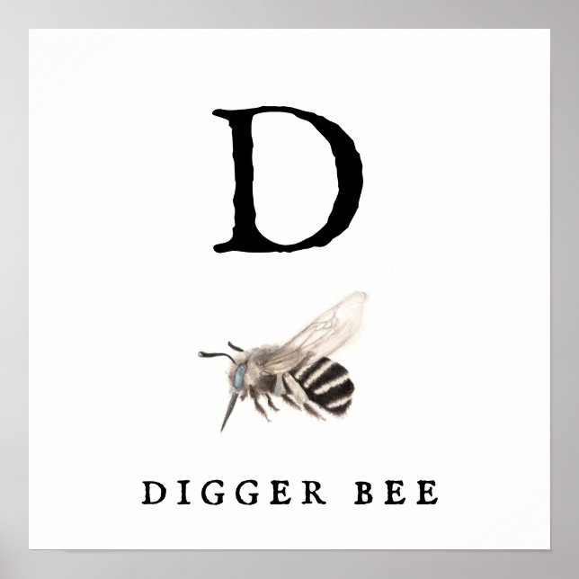"D" Digger Bee-värdet Poster Pappert (projektionsy (Framsidan)
