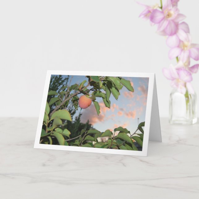 D kaki i trädet, rosa himmel porträtt kort (Orkide)