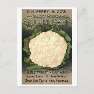 D. M. Ferry & Co. Cauliblommesädsreklam Vykort