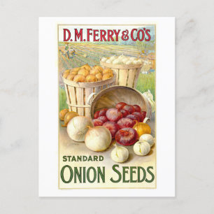D. M. Ferry & Co. Vintage Onion Seed Advertising Vykort