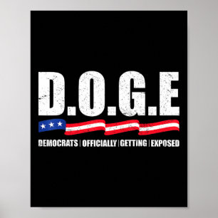 D.o.g.e Doge Departementet för statlig effektivite Poster