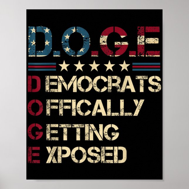 D.o.t.ex. Doge Department of Government Efficiency Poster (Framsidan)