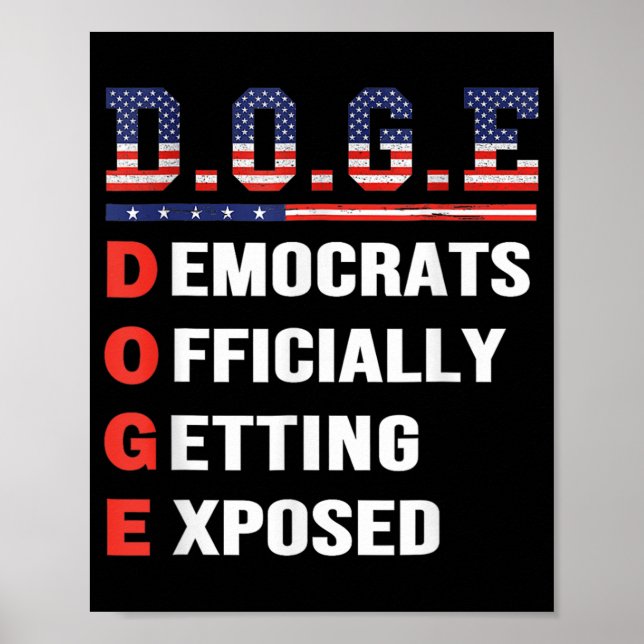 D.o.t.ex. Doge Department of Government Efficiency Poster (Framsidan)