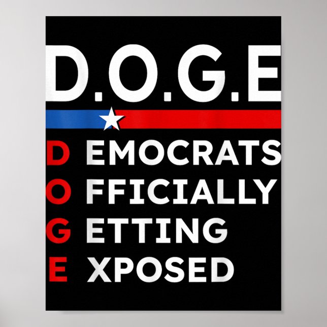 D.o.t.ex. Doge Department of Government Efficiency Poster (Framsidan)