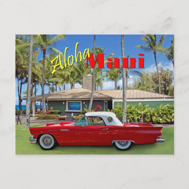 D.T.Fleming Beach Park Vykort (Framsida)