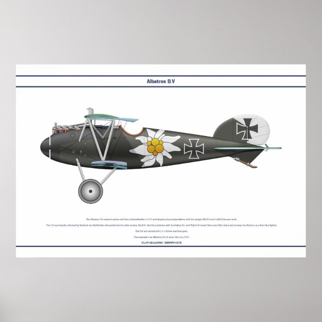 D.V Jasta 16b Poster (Framsidan)